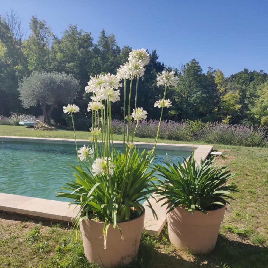 Chambre Double En Pleine Nature "La Clairiere De L'Ange" Peyrins Exterior photo